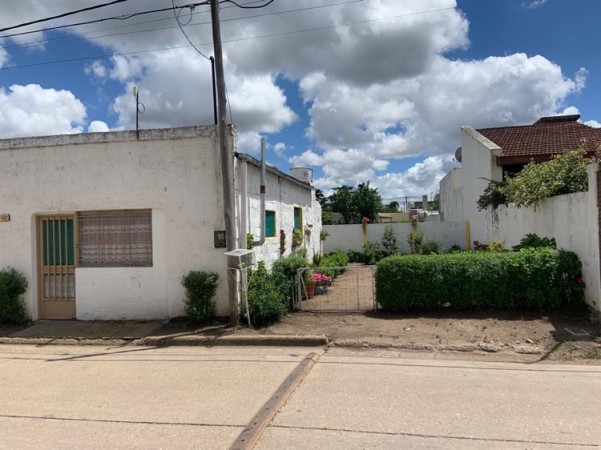 Terreno de 11 x 36,50