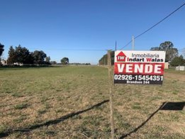 Terreno zona de quintas