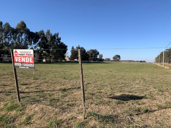 Terreno zona de quintas